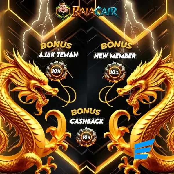 Logo rajacair